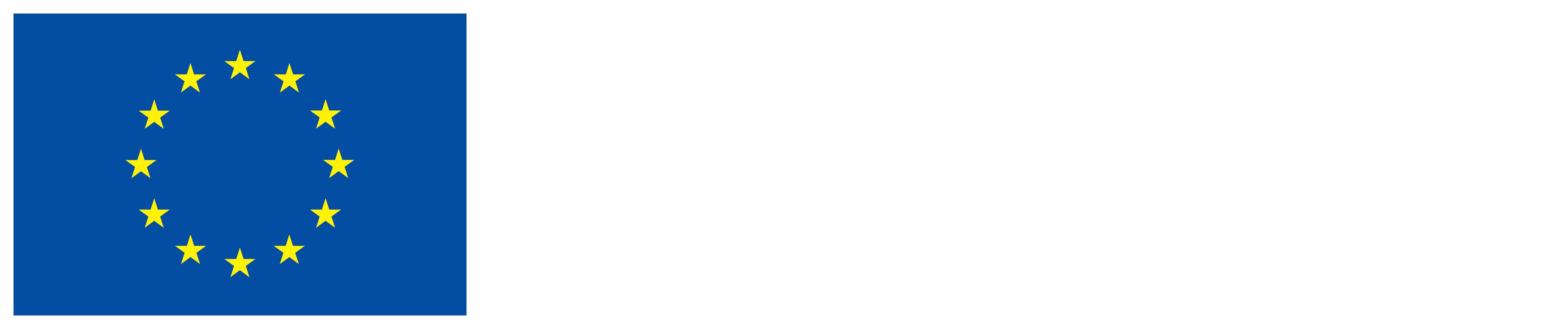 Kofinanziert von der Europäischen Nation
